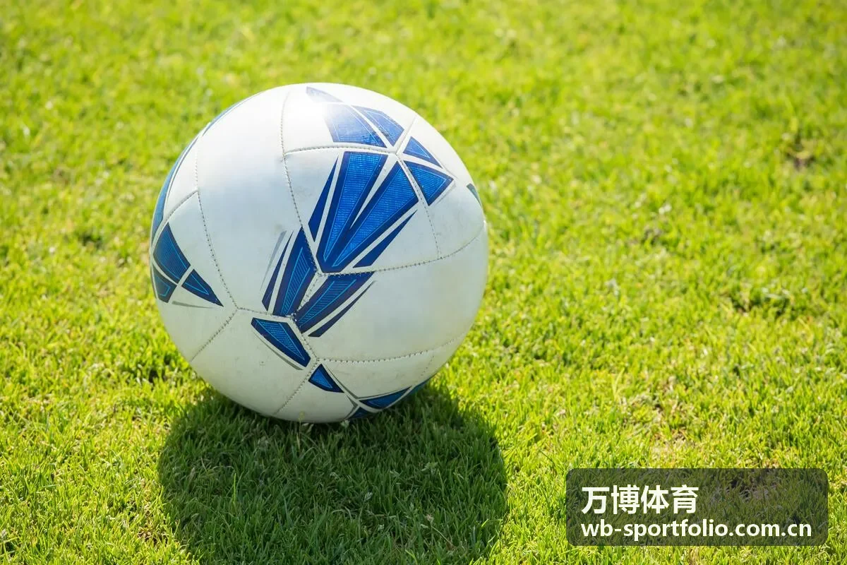 万博体育深度分析报告